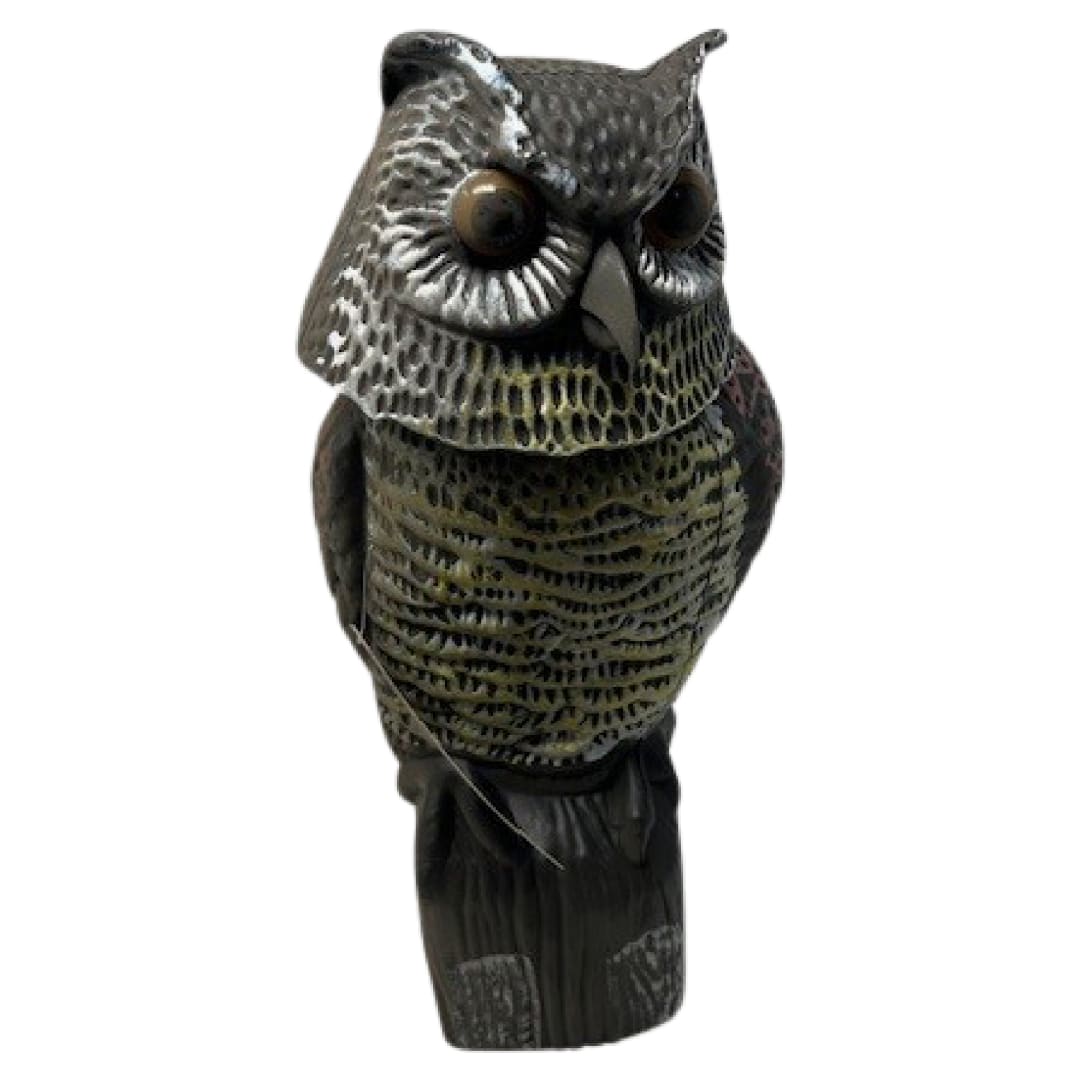 Owl with Rotating Head