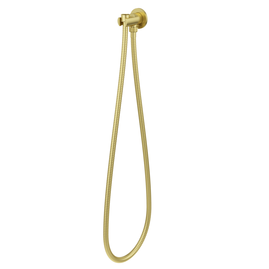 Modern Round 2-Piece Handheld Shower Kit with 60 in. Hose in Brushed Gold