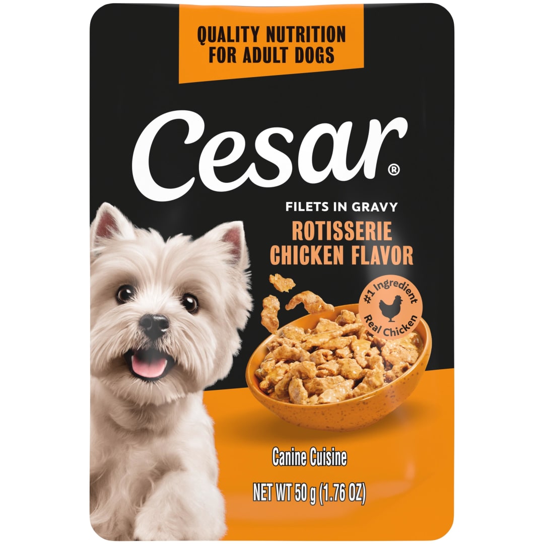 Cesar Filets in Gravy Rotisserie Chicken Flavor Wet Dog Food, 1.76-oz Mini-Pouch