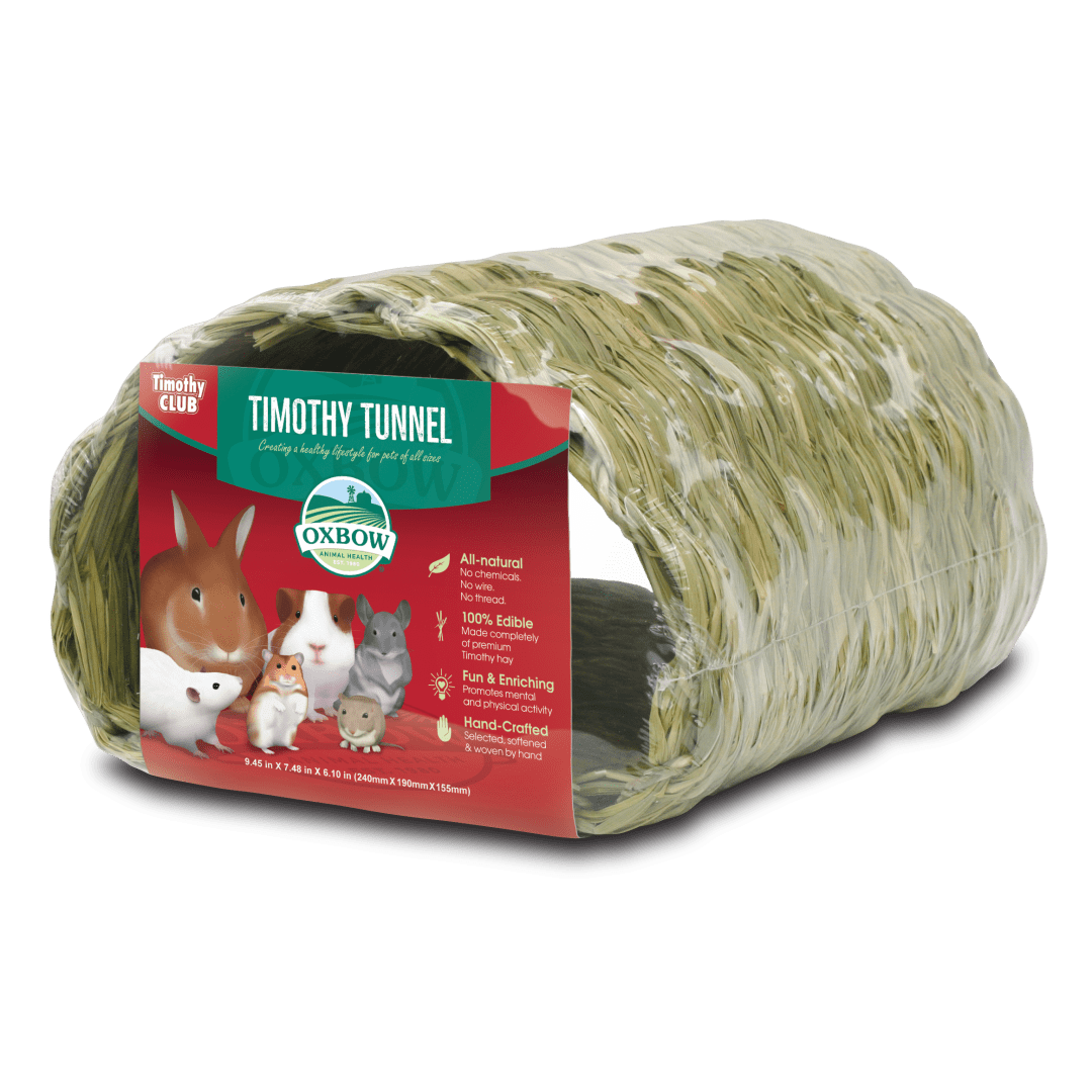 Timothy CLUB Timothy Tunnel