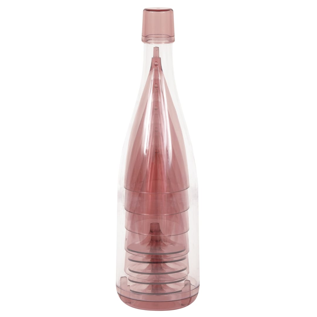 Pink &amp; Gold Plastic Champagne Glasses in Storage Bottle, 5pc