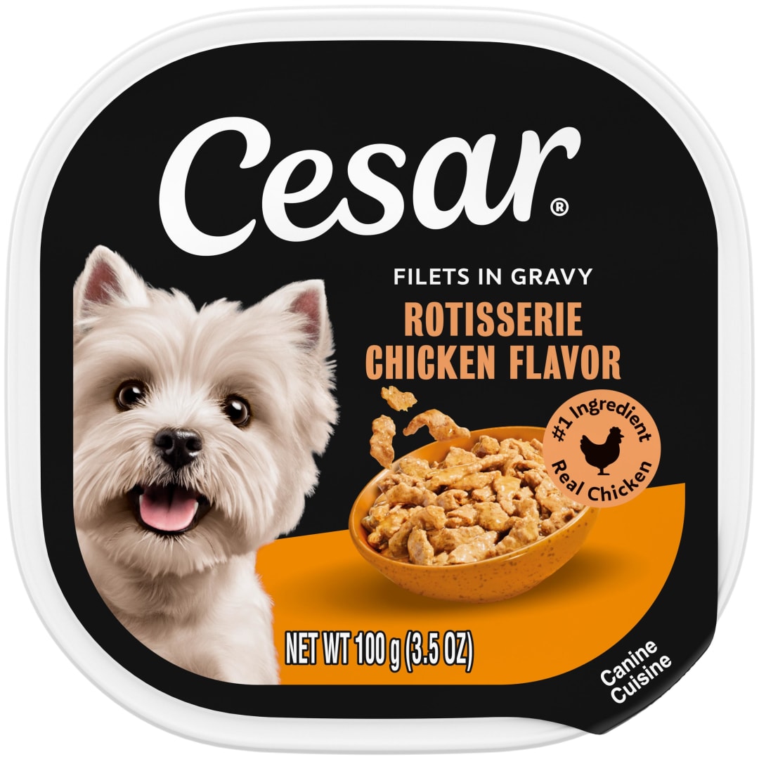 CESAR Soft Wet Dog Food Filets in Gravy Rotisserie Chicken Flavor, (24) 3.5 oz. Easy Peel Trays