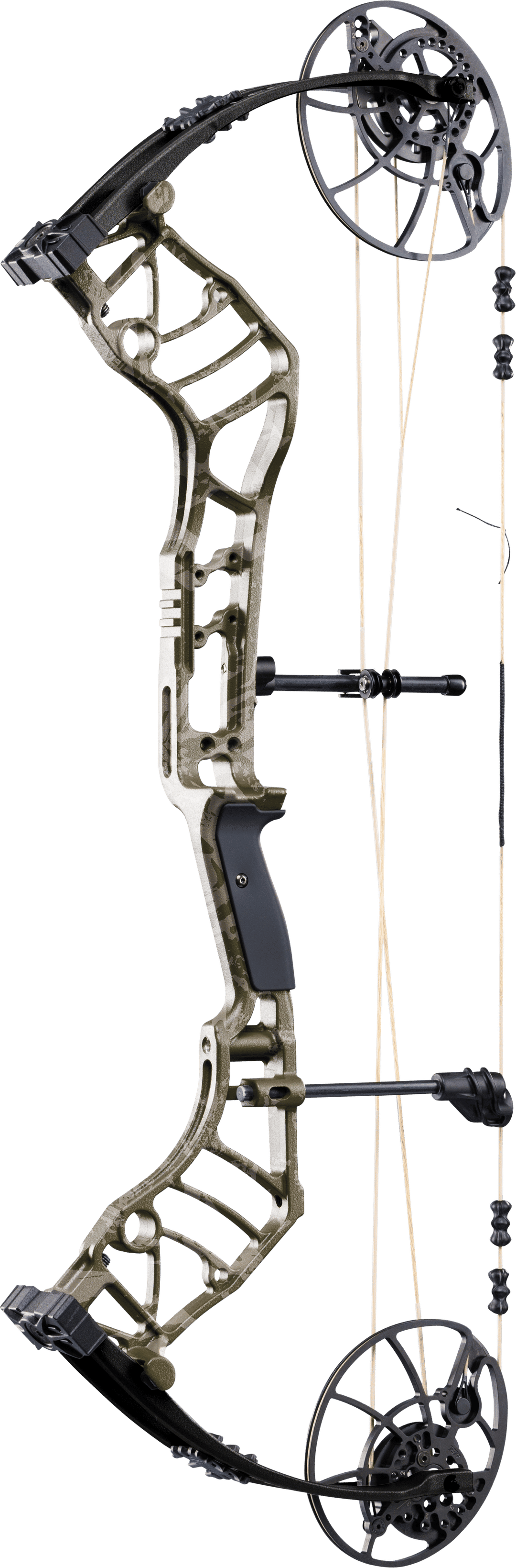 Bear Legend 30