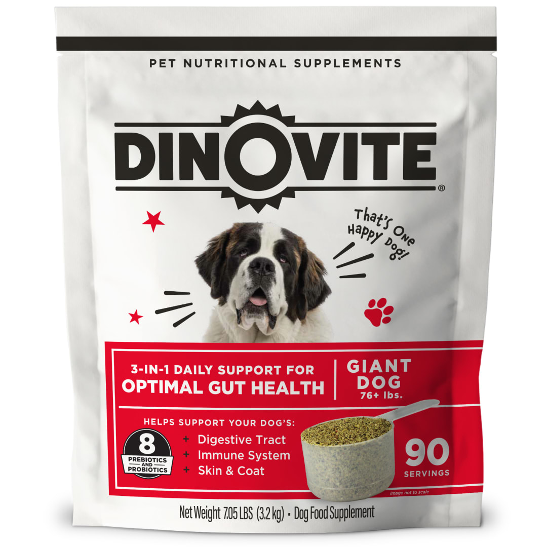 DV 3-in-1 Giant Dog