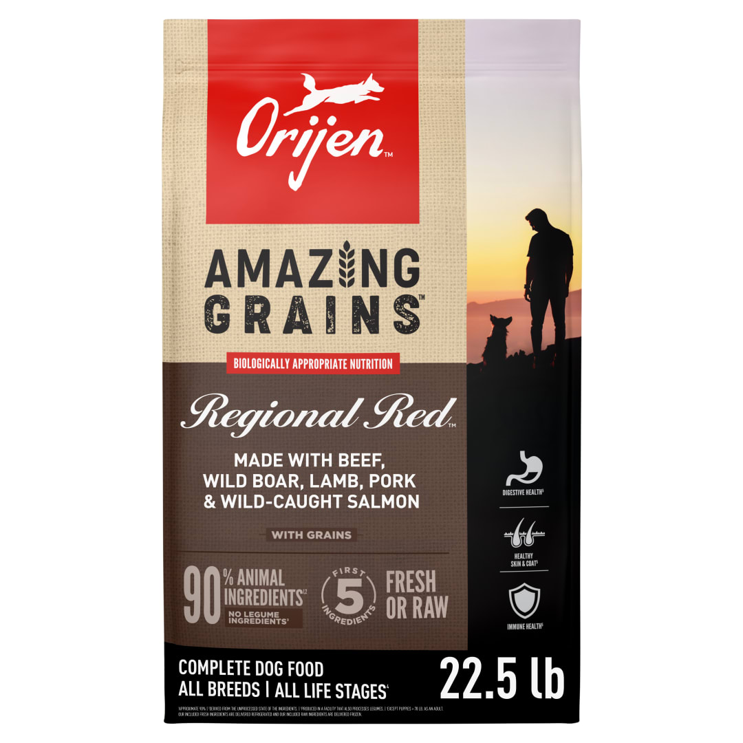 ORIJEN Amazing Grains High Protein Dry Dog Food Regional Red Recipe