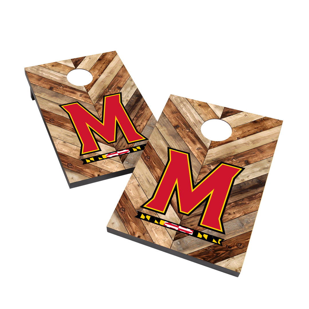 University of Maryland Terrapi