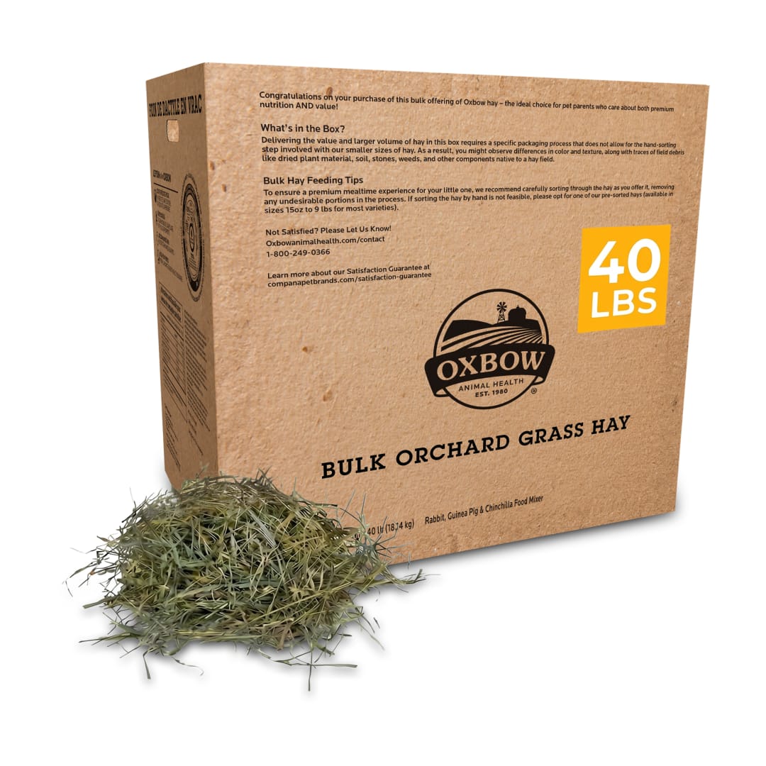 Orchard Grass - 40 lb