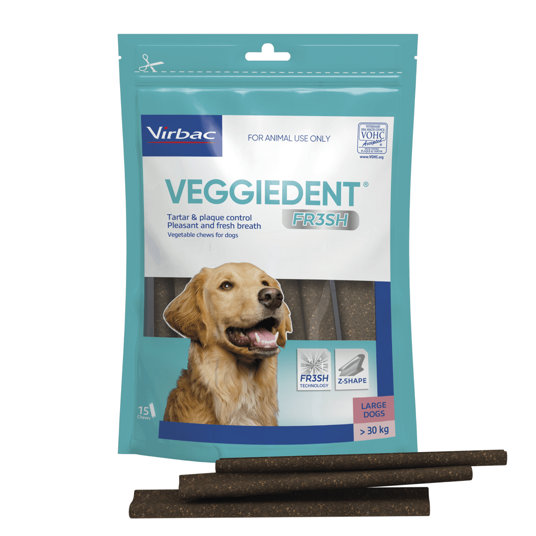 Veggiedent FR3SH Dental Chews for Dogs, Large