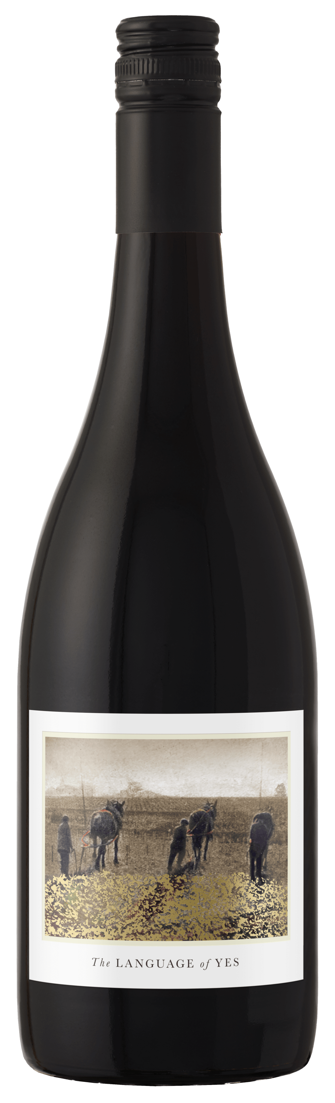 The Language Of Yes Red Blend Red Wine 750ml