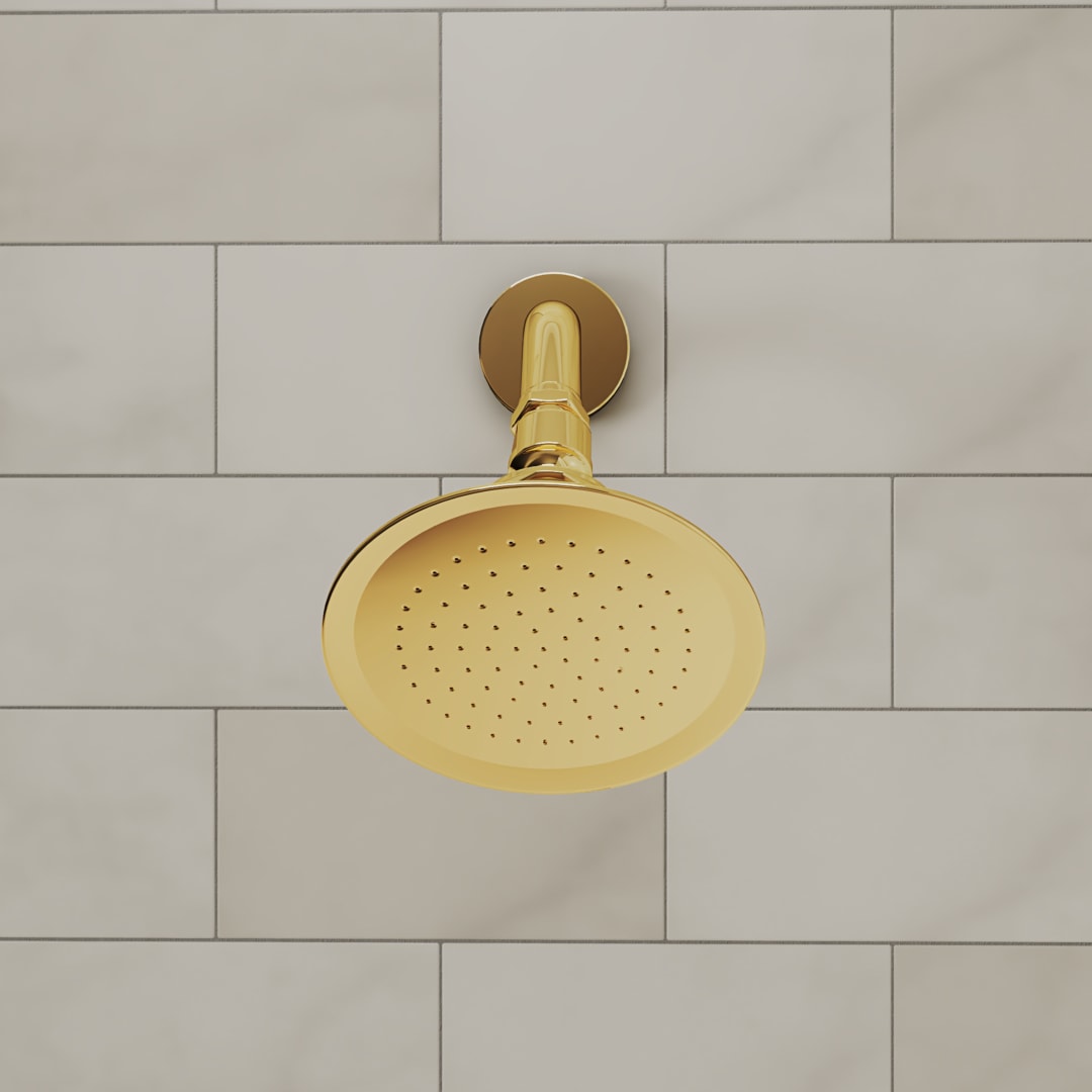 Formosa Shower Head, Polished Brass