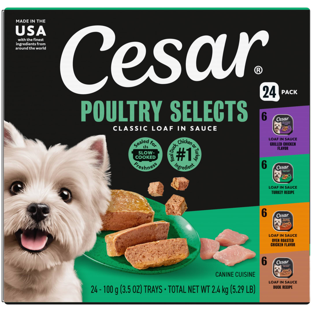 CESAR Wet Dog Food Classic Loaf in Sauce Poultry Variety Pack, (24) 3.5 oz. Easy Peel Trays with Real Chicken, Turkey or Duck