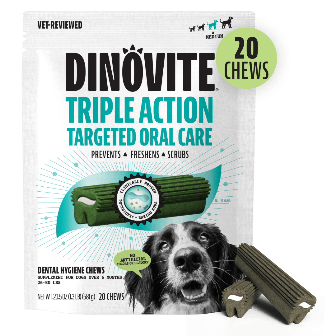 DV K9 DENTAL CHEW MED EC 6/20 CT