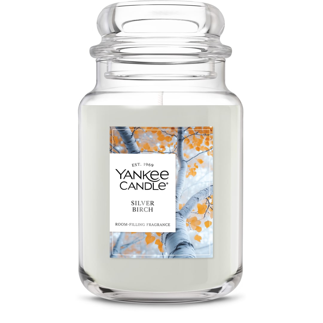 Yankee Candle® Large Jar Scented Candle with up to 150 Hour Burn Time, Premium Plant Wax Blend for Consistent Burn, 22 oz Jar Candle with Room Filling Fragrance, Silver Birch