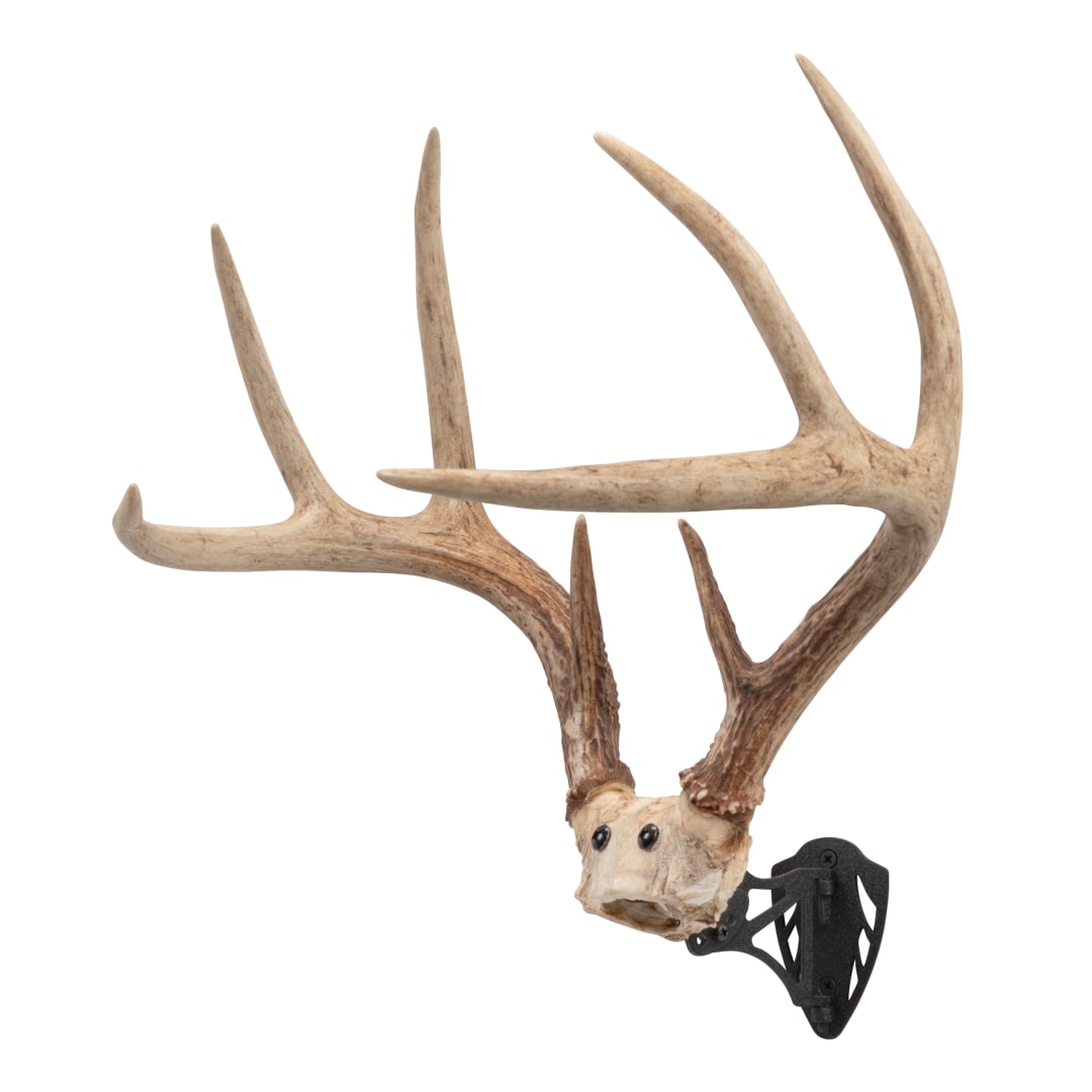Allen Company Horn Hanging Mount Bracket, Black
