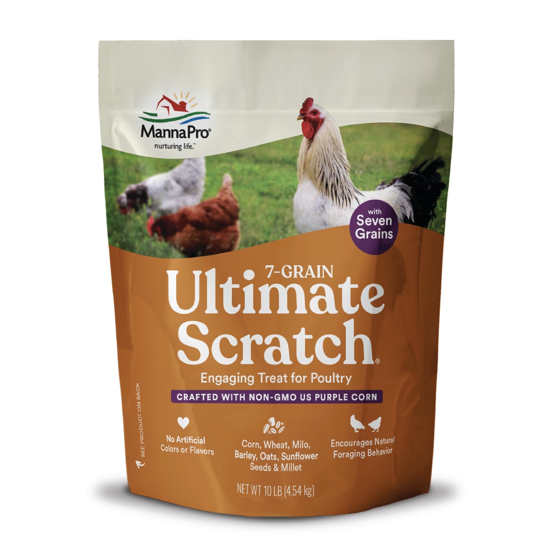Manna Pro 7-Grain Ultimate Chicken Scratch - 10 lbs