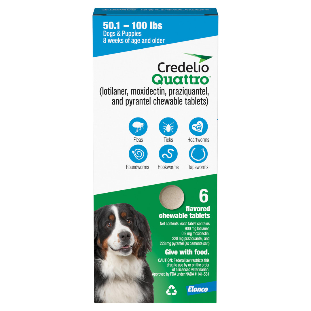 Credelio Quattro Chewable Tablets for Dogs 50.1-100 lbs, 6-in-1 Parasite Protection (6 Month Supply)