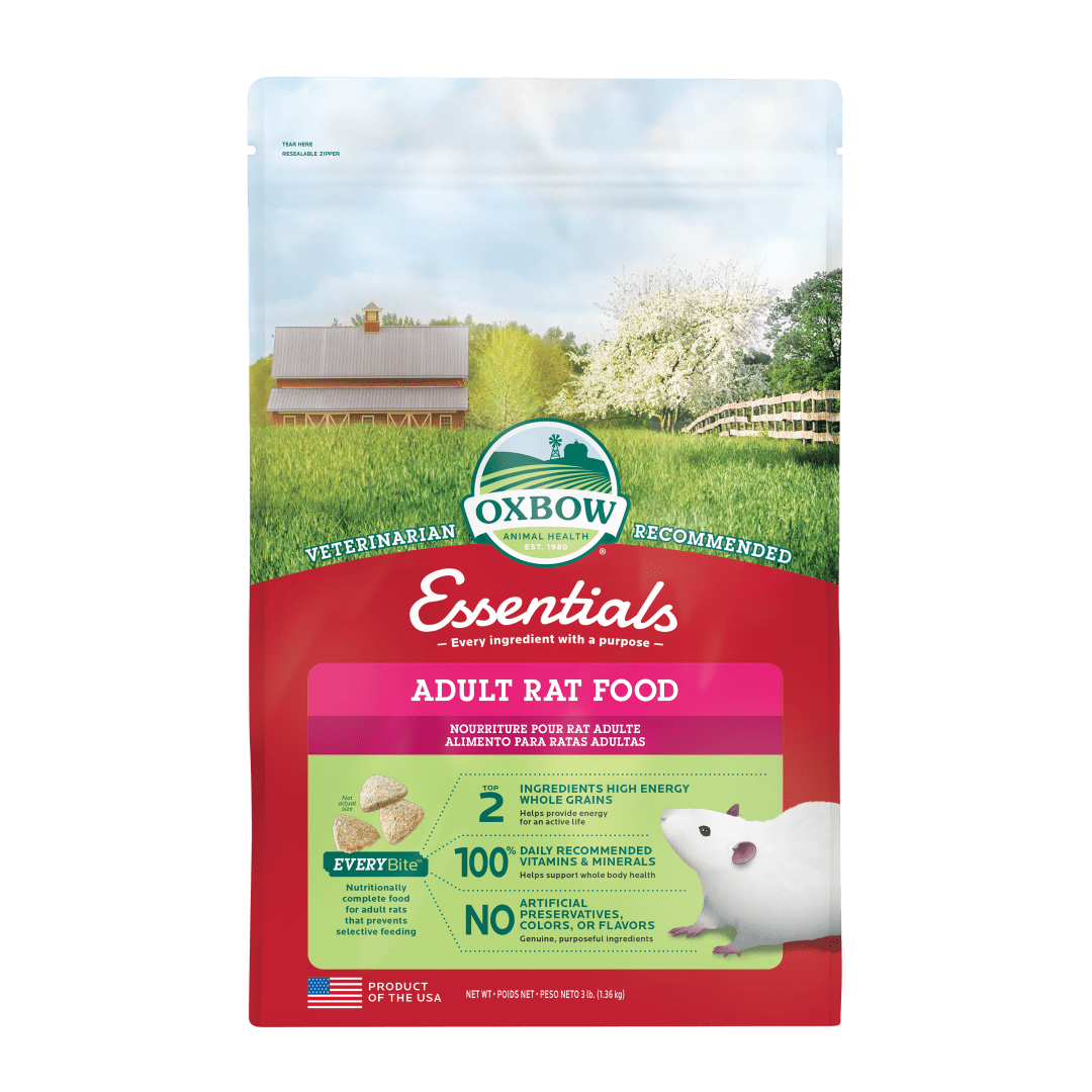 Essentials Adult Rat Food - 3 lb