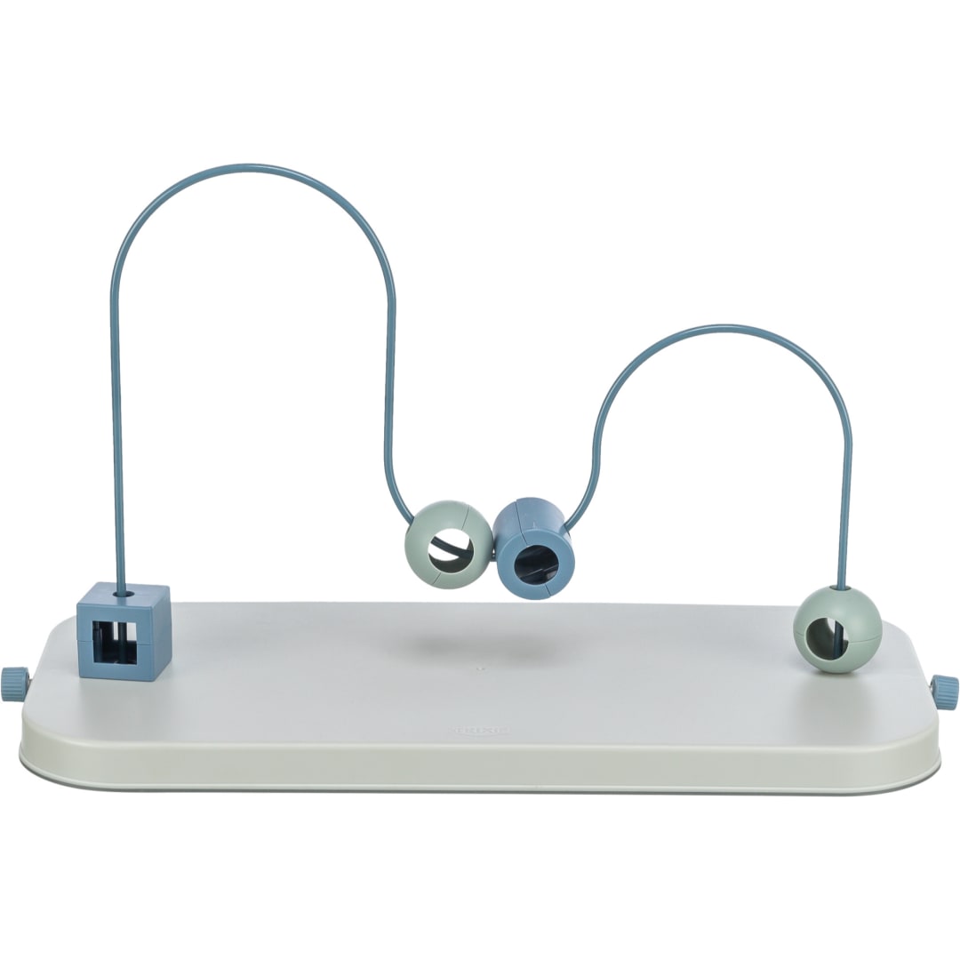 Dog Activity Skills Loop