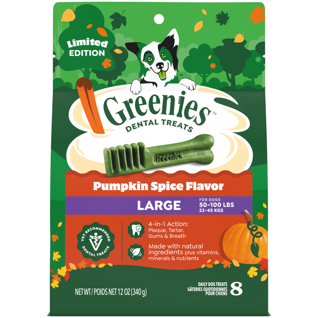 GREENIES Pumpkin Spice Flavor Large Dog Dental Chews 12 Ounces 8 Treats