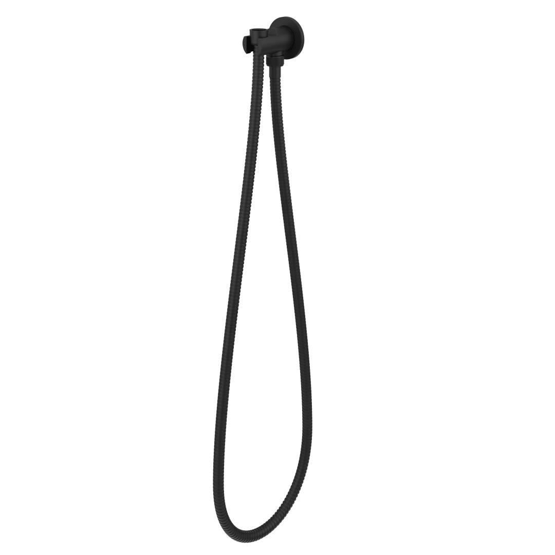 Modern Round 2-Piece Handheld Shower Kit with 60 in. Hose in Matte Black