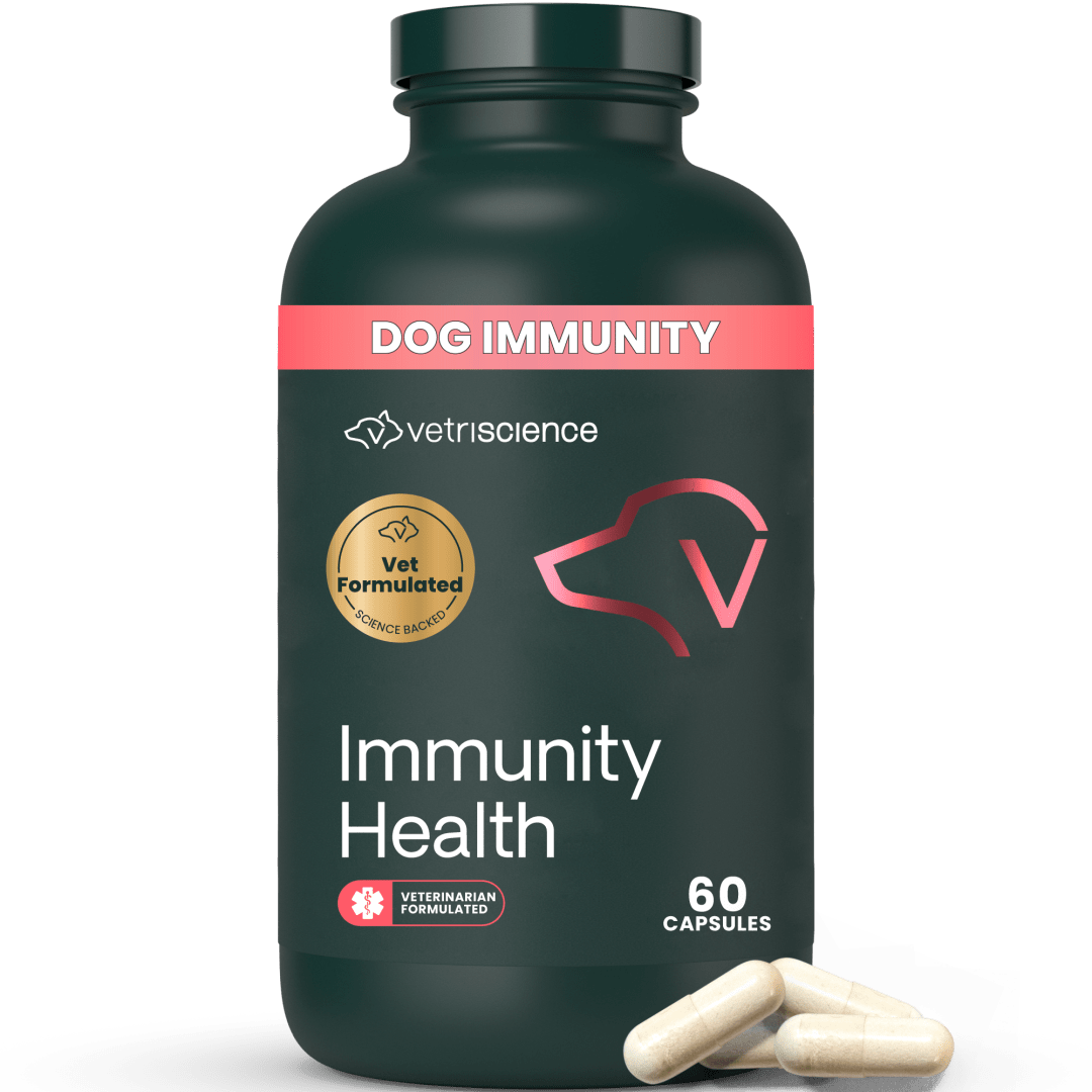 VS Immunity Health Capsules, Small Dogs, 60ct