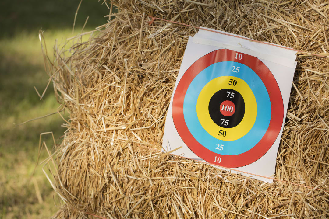 Bear Youth Target