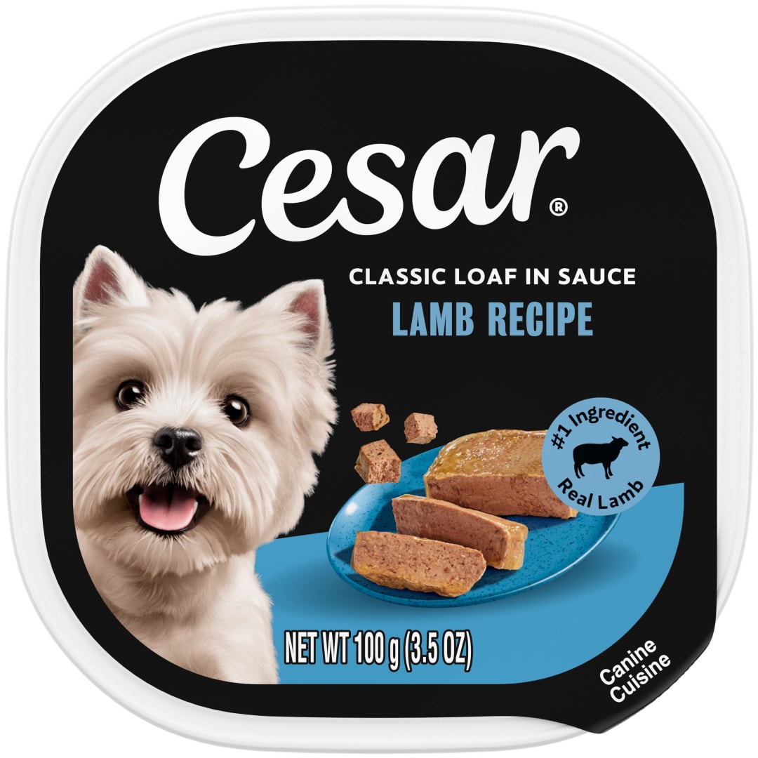 CESAR Soft Wet Dog Food Classic Loaf in Sauce Lamb Recipe, (24) 3.5 oz. Easy Peel Trays