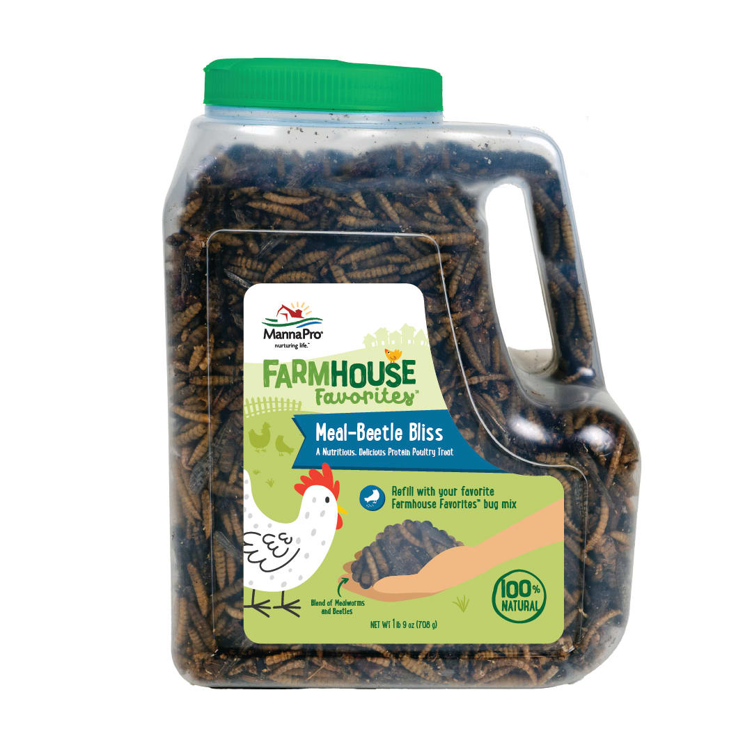 Manna Pro Farmhouse Favorites Beetle Bliss Poultry Treat – 25oz