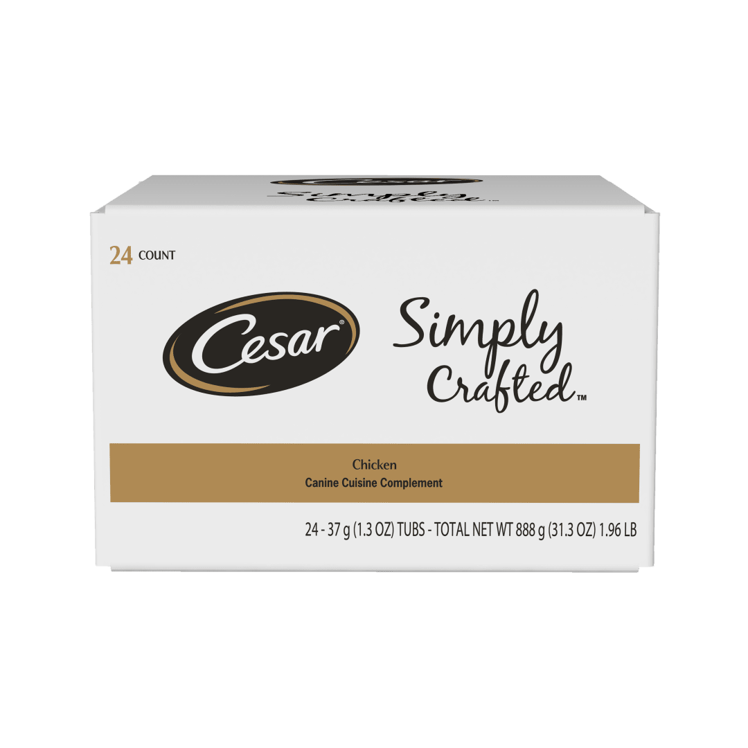 CESAR SIMPLY CRAFTED Adult Wet Dog Food Cuisine Complement, Chicken, (24) 1.3 oz. Tubs