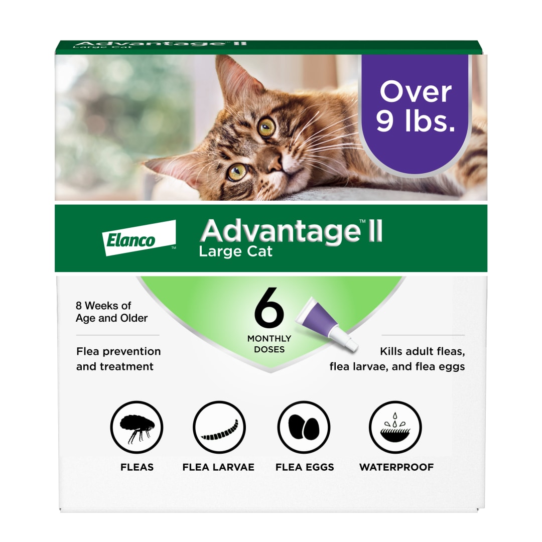 Advantage II Large Cat Flea Treatment & Prevention, Cats Over 9 lbs. (6 Monthly Doses)