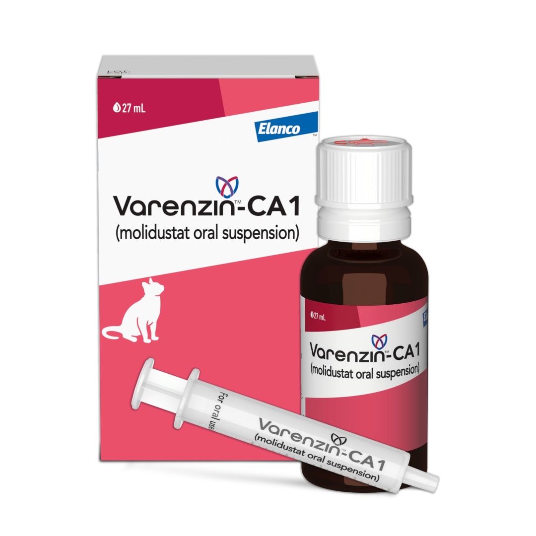Varenzin-CA1 for Cats | Treatment for Anemia Associated With Chronic Kidney Disease | Orally Administered Liquid | 25 mg/mL