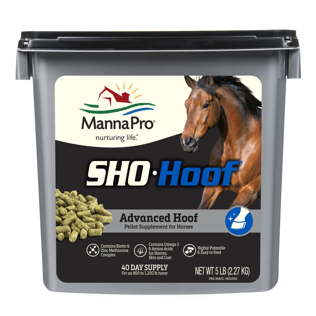 Manna Pro Sho-Hoof Supplement for Horses - Biotin and Zinc Methionine for Healthy Hooves - 5 Pounds