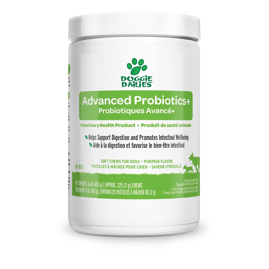 Doggie Dailies Probiotics - 225 Soft Chews - Pumpkin Flavor - 16 oz
