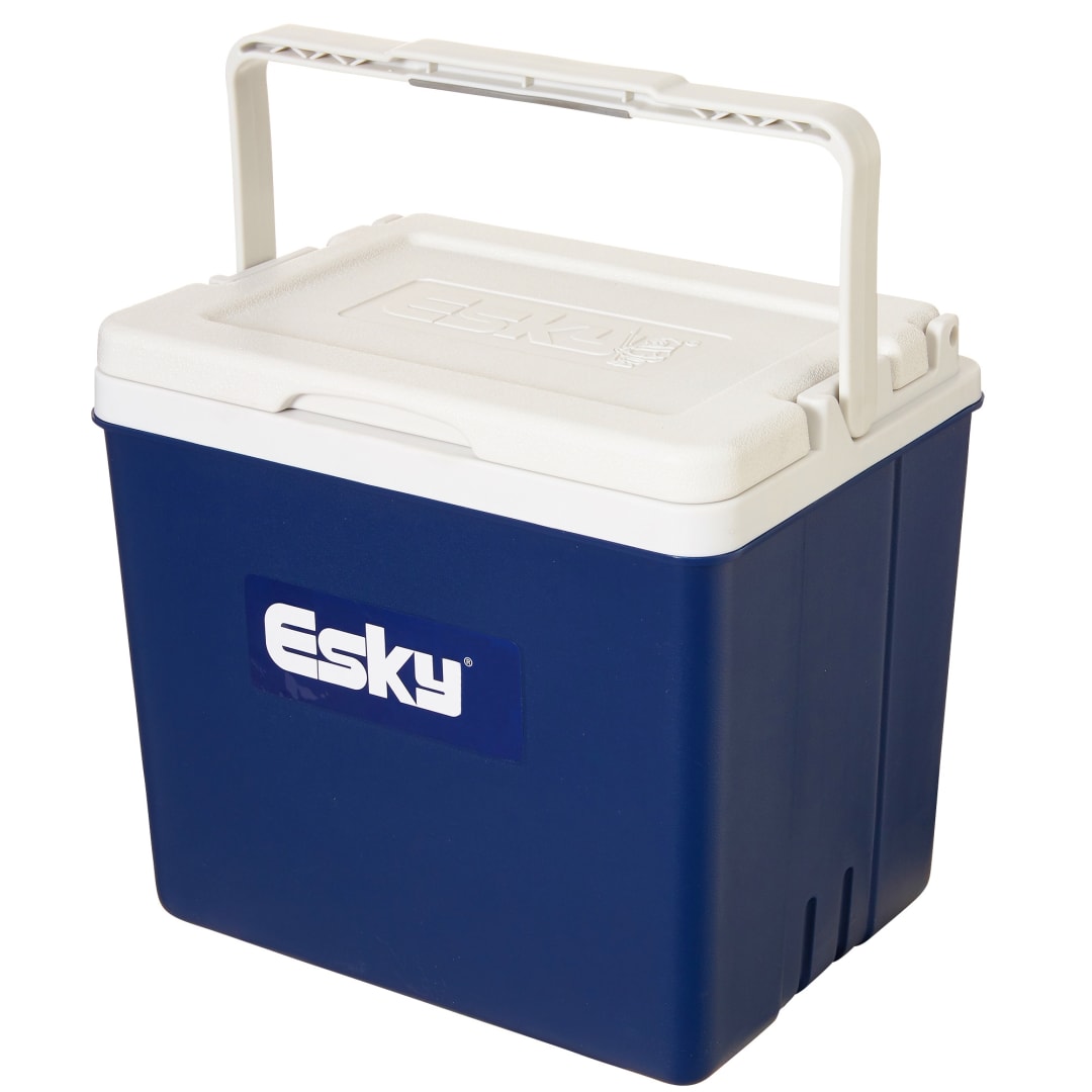 ESKY COOLER 10L CHILLA (BUNNINGS)