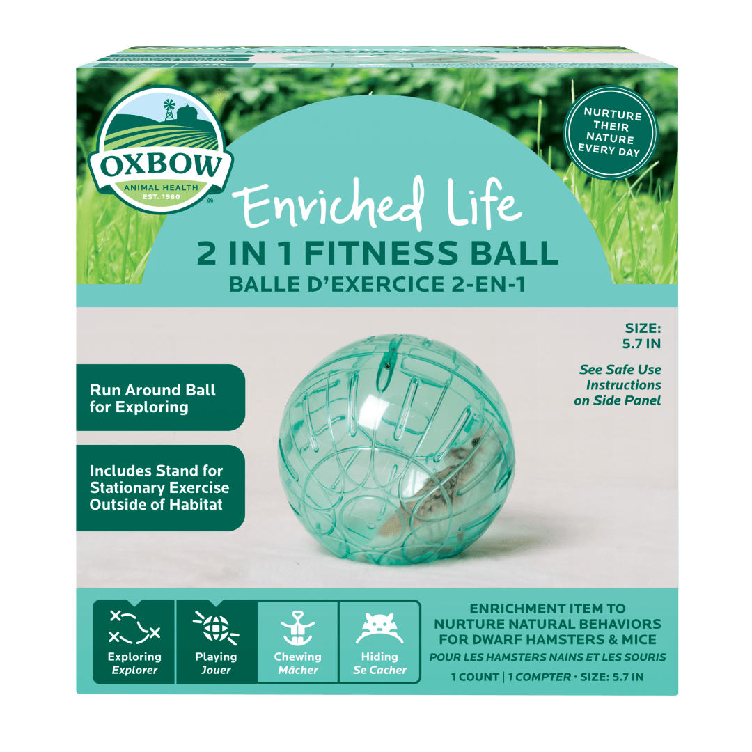 Enriched Life - 2-in-1 Fitness Ball