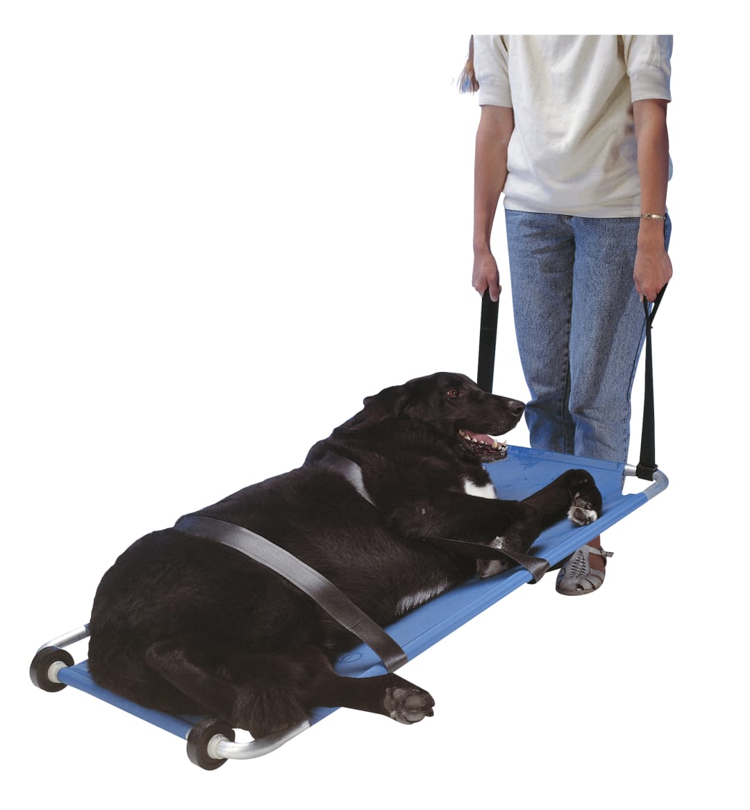 BUSTER Animal Stretcher, 120 x 50cm, Blue