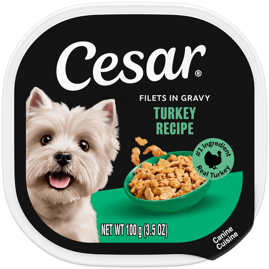 CESAR Soft Wet Dog Food Filets in Gravy Turkey Recipe, (24) 3.5 oz. Easy Peel Trays