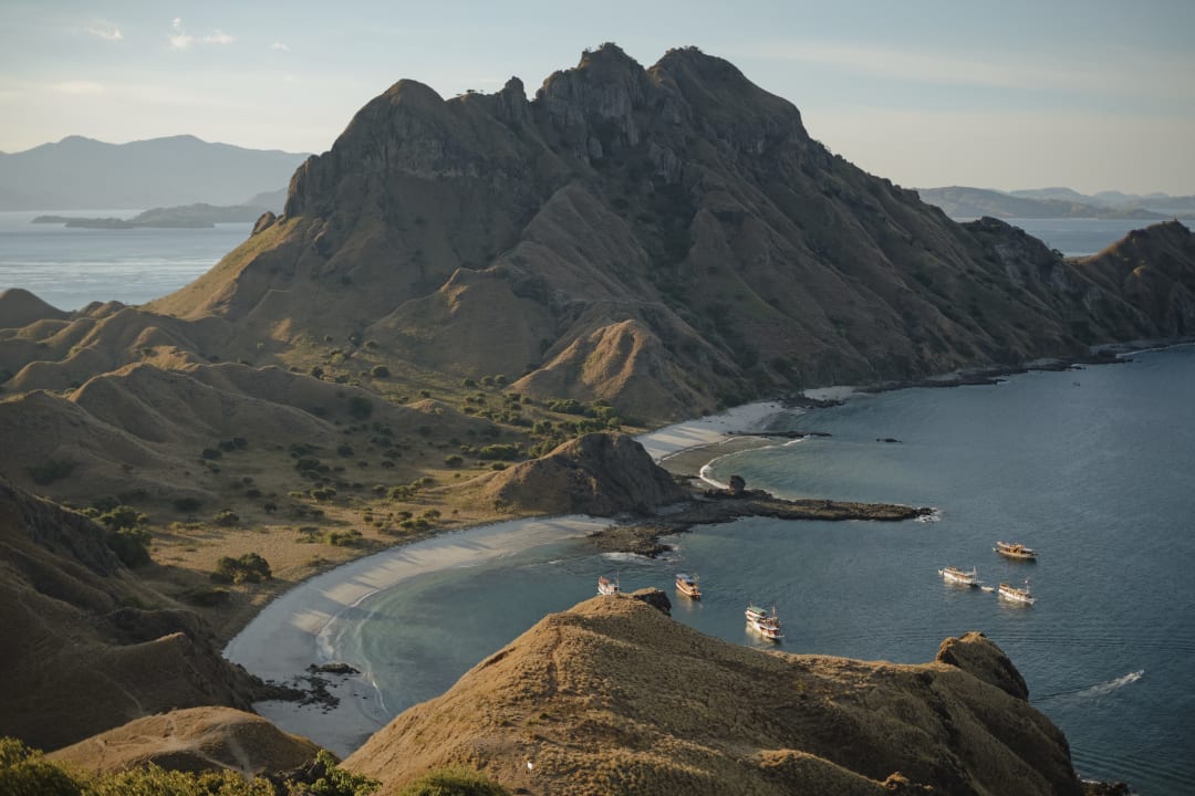 Komodo