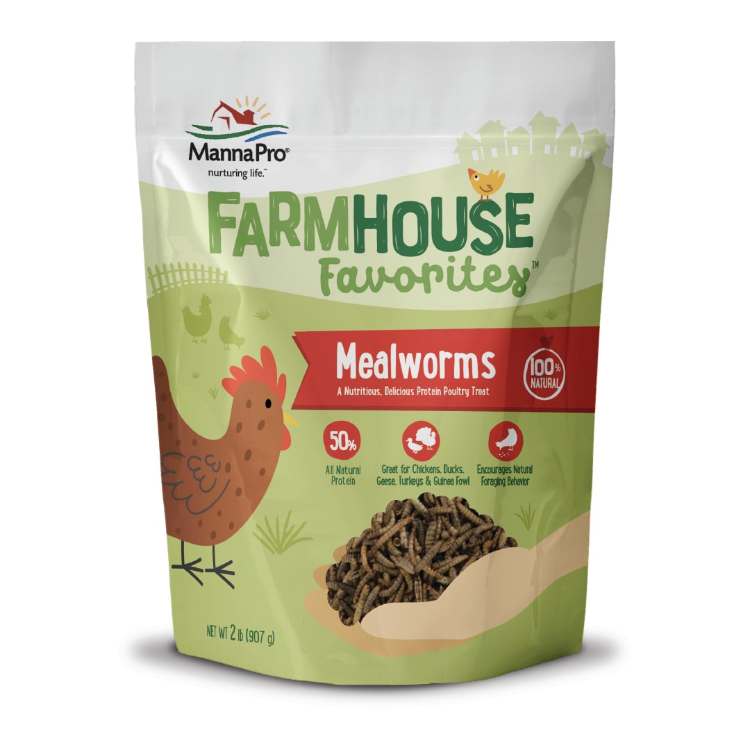 Manna Pro Farmhouse Favorites Mealworms Poultry Treat - 2lbs