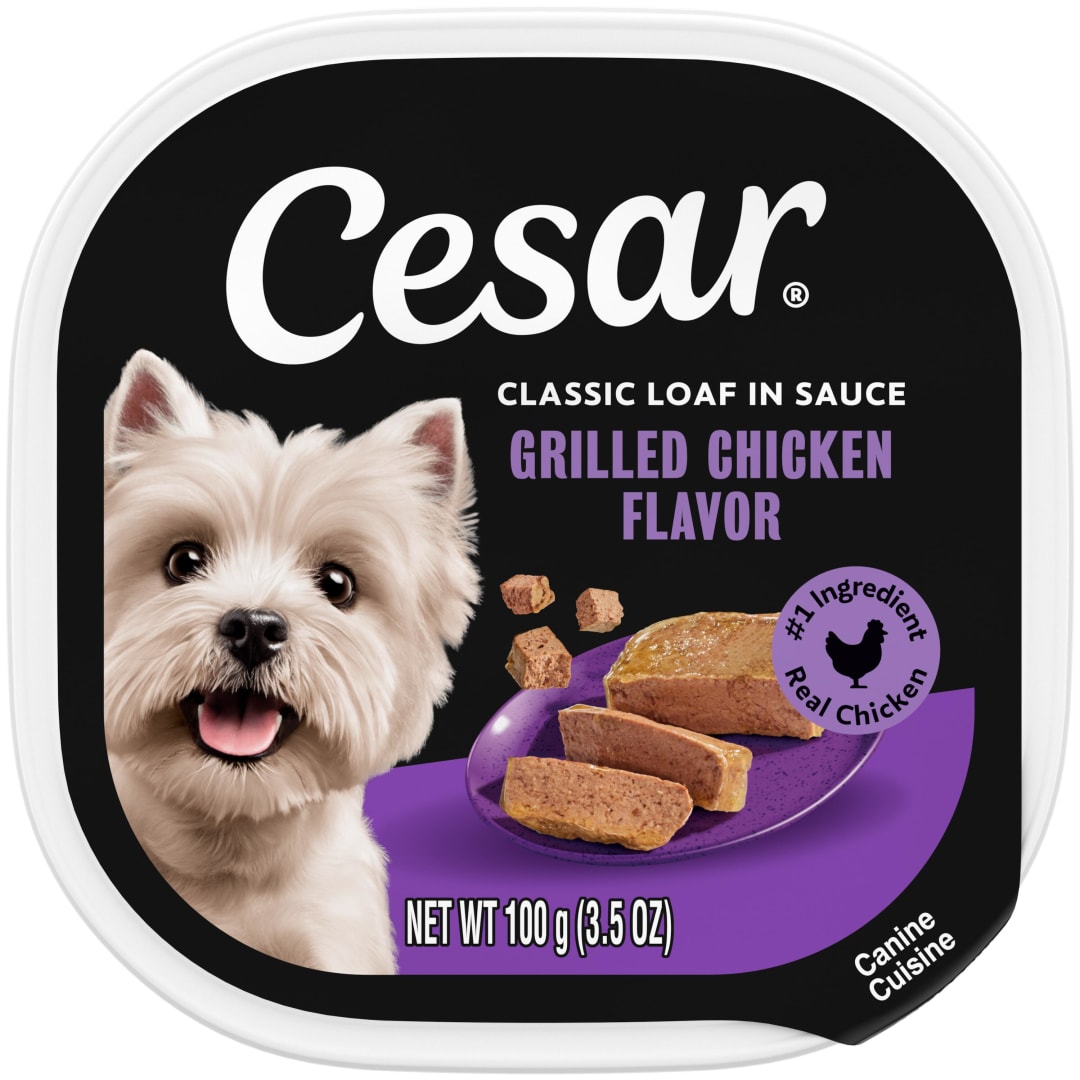 CESAR Wet Dog Food Classic Loaf in Sauce Grilled Chicken Flavor, (24) 3.5 oz. Easy Peel Trays