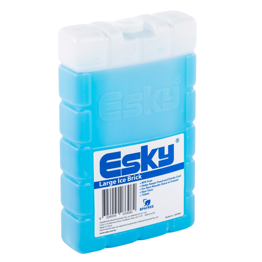 ESKY LARGE ICE BRICK (BUN)