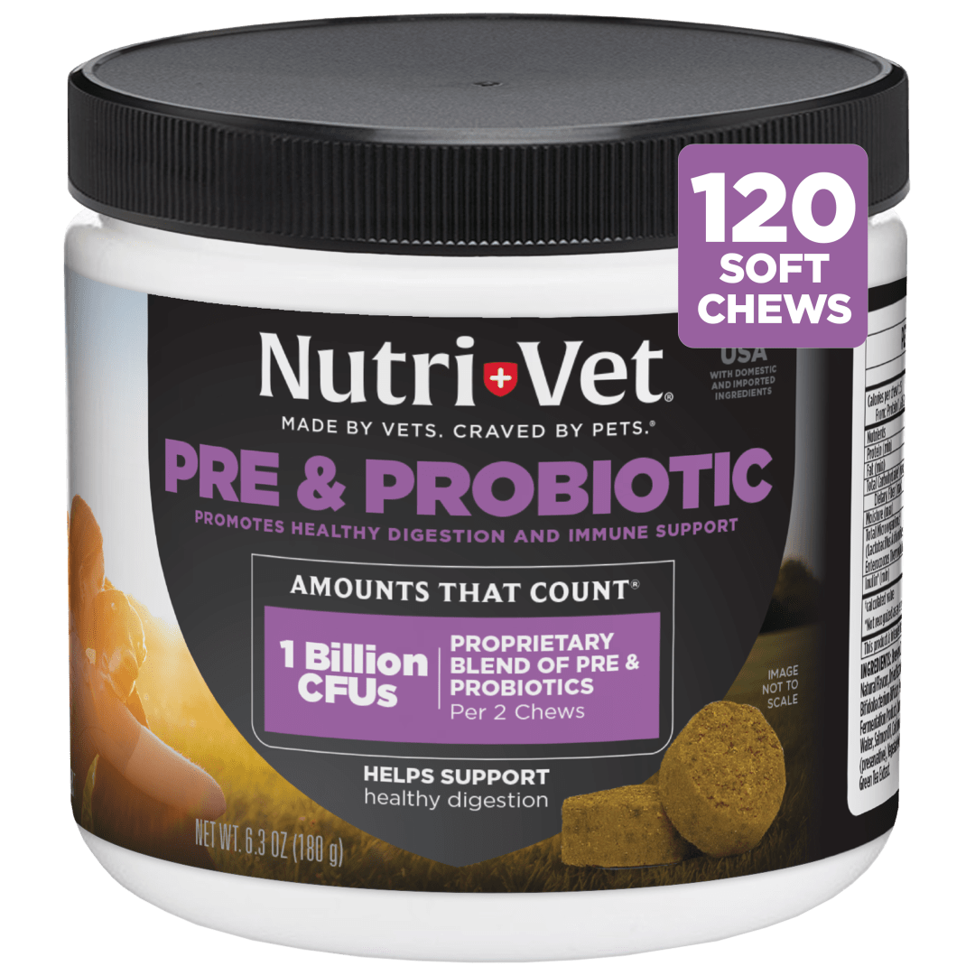 Nutri-Vet Pre and Probiotic Soft Chews for Dogs - Digestive Health Support Dog Probiotics - Tasty Liver and Cheese Alternative to Dog Probiotic Powder - 120 Soft Chews