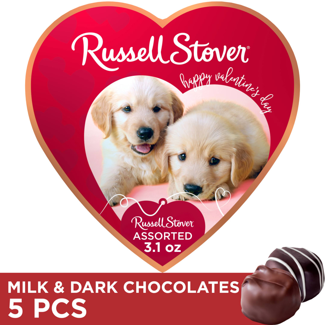 RUSSELL STOVER Valentine's Day Puppy Heart Assorted Milk & Dark Chocolate Candy Gift Box, 3.1 oz.