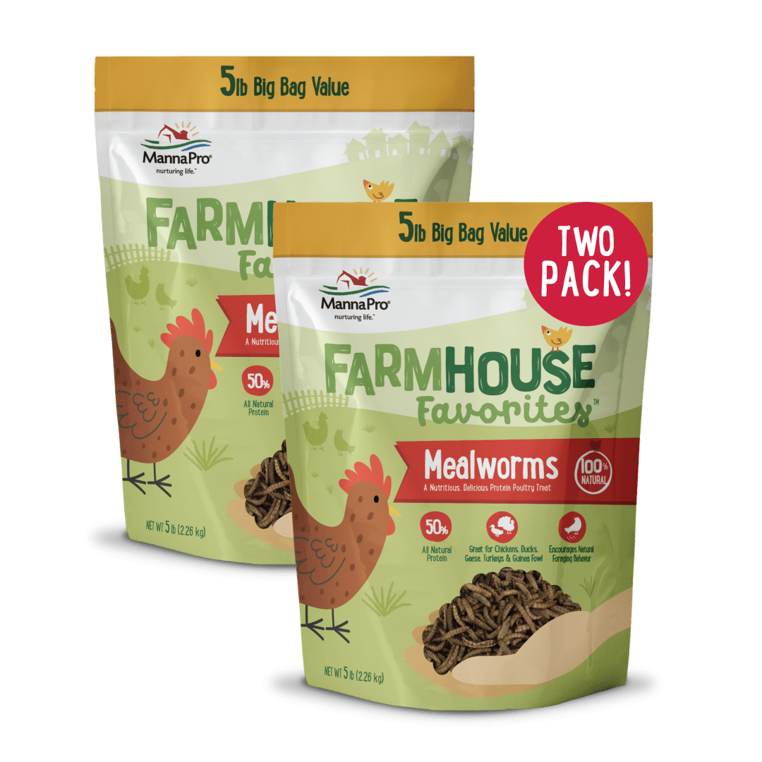 Manna Pro Farmhouse Favorites Mealworms Poultry Treat - 5lb 2-Pack