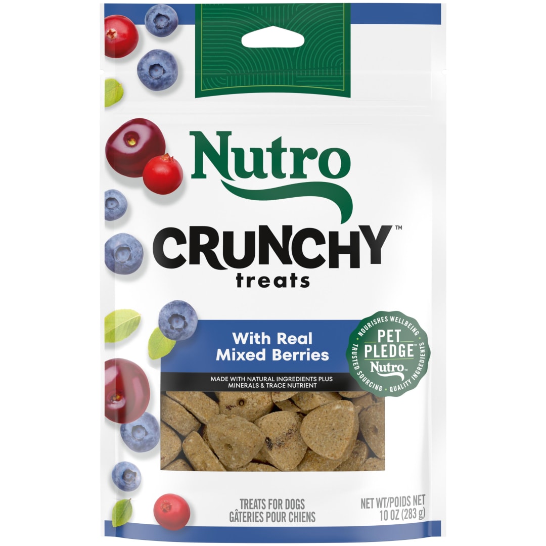 NUTRO Crunchy Dog Treats with Real Mixed Berries, 10 oz. Bag