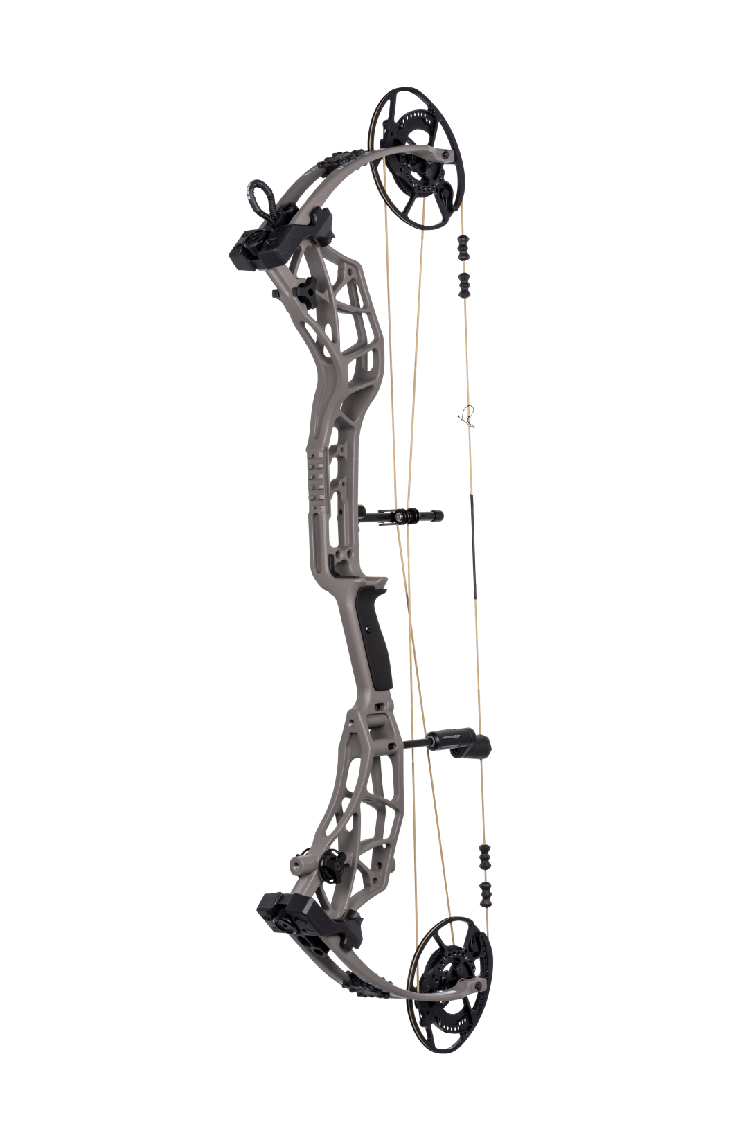 Bear Whitetail NXT Compound Bo