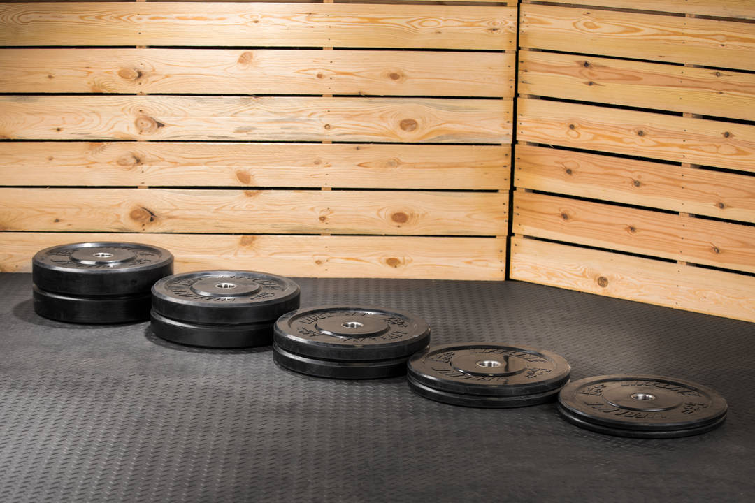 Lifeline Rubber Bumper Plates-