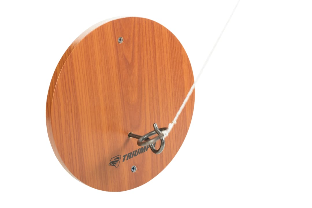 Triumph Hook and Ring Game