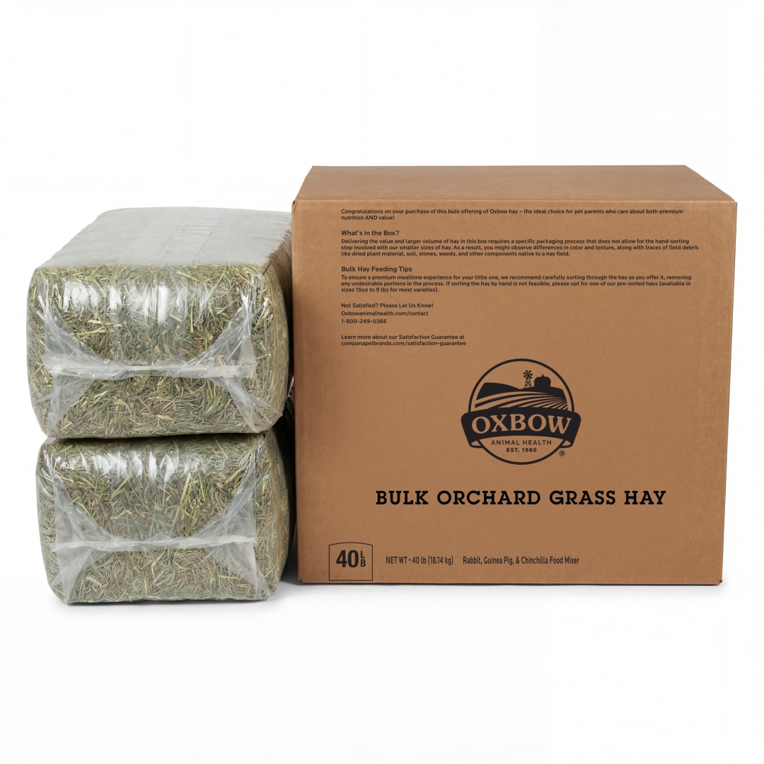 Orchard Grass - 40 lb