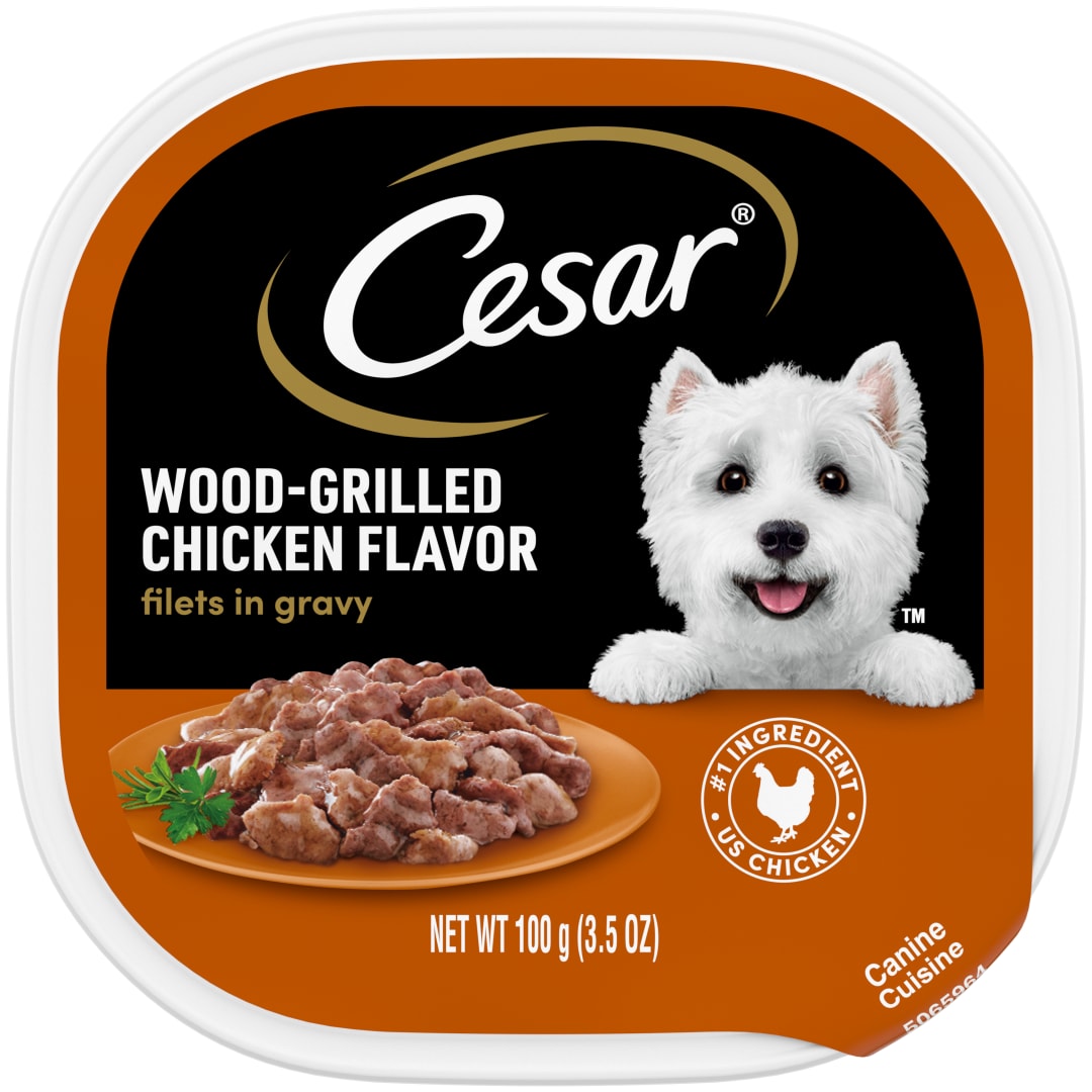 CESAR Filets in Gravy Adult Soft Wet Dog Food Wood-Grilled Chicken Flavor, (24) 3.5 oz. Trays